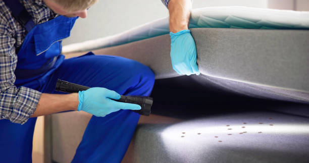 Best Mosquito Control Services  in Thompsonville, CT