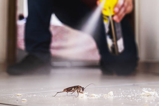 Best Rodent Control Near Me  in Thompsonville, CT